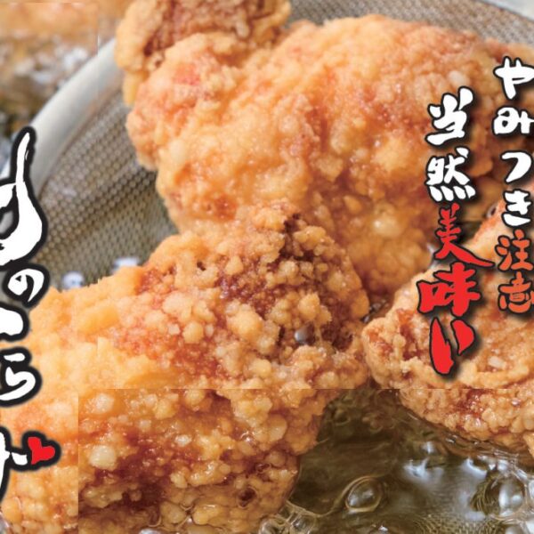 俺のからあげ イメージ画像1